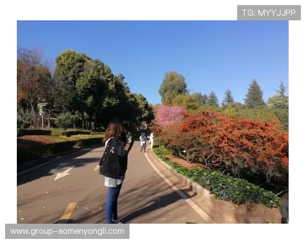 探索威尼斯卜娱乐的多样化娱乐方式让你享受极致的休闲时光