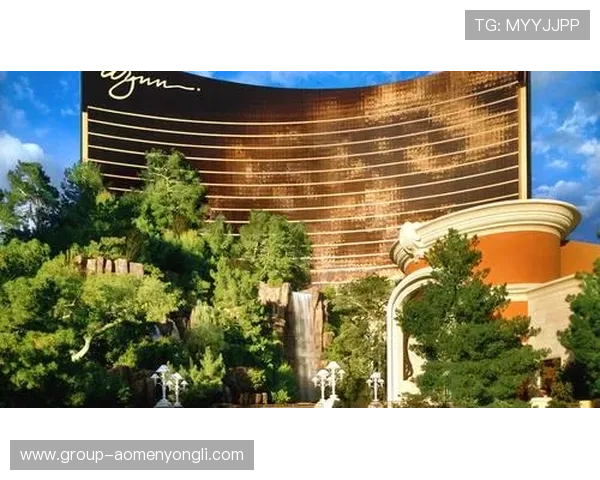 关于wynn永利的全面介绍与最新动态,助你了解永利集团的奢华体验与服务特色 关于wynn永利的全面介绍与最新动态,助你了解永利集团的奢华体验与服务特色